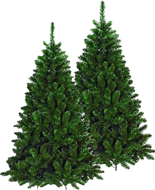 alberidinatale